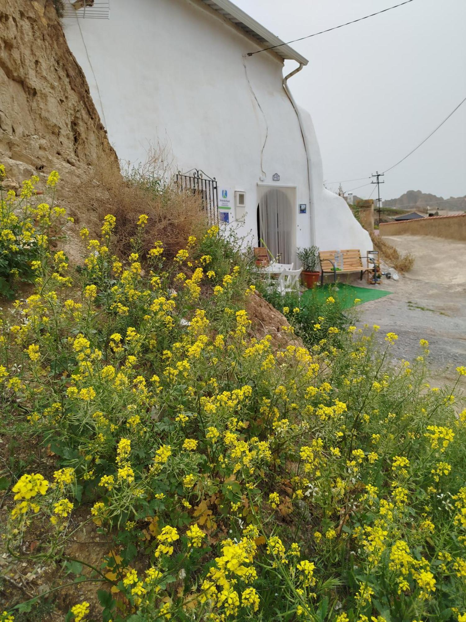 Cueva La Loli Villa Guadix Dış mekan fotoğraf