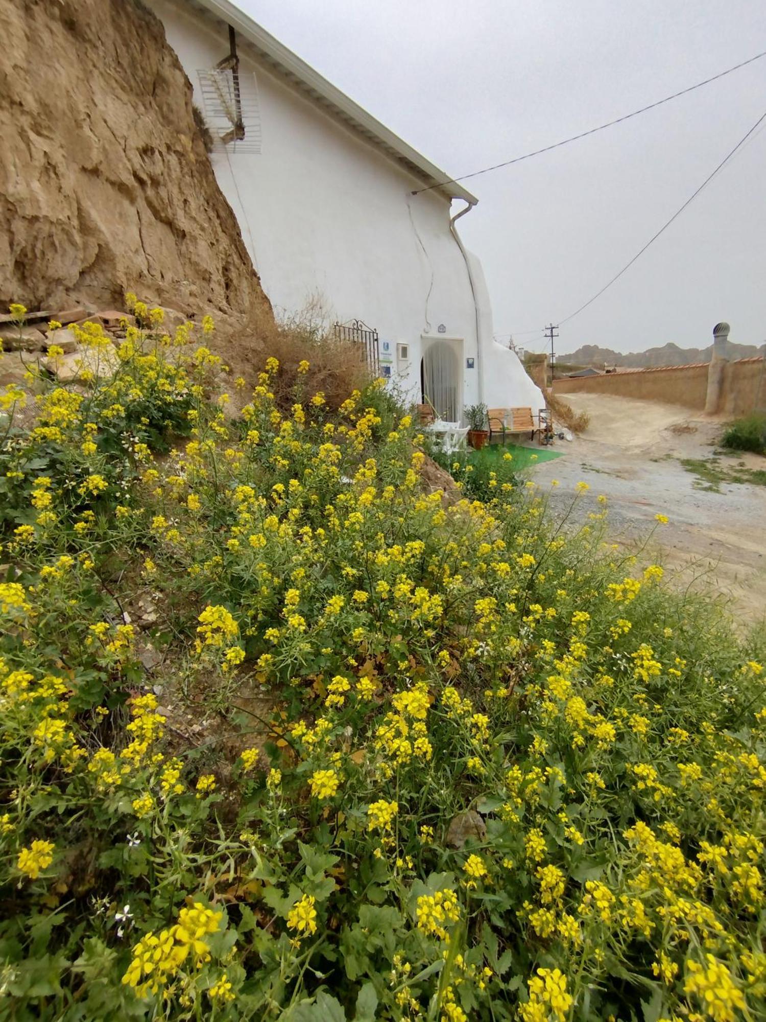 Cueva La Loli Villa Guadix Dış mekan fotoğraf