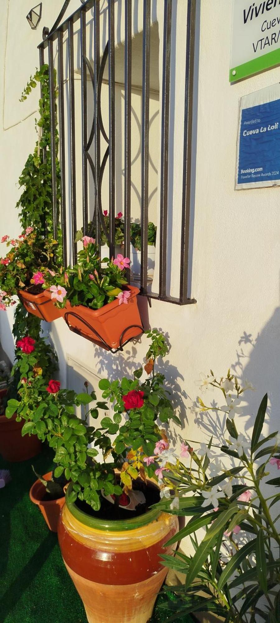Cueva La Loli Villa Guadix Dış mekan fotoğraf